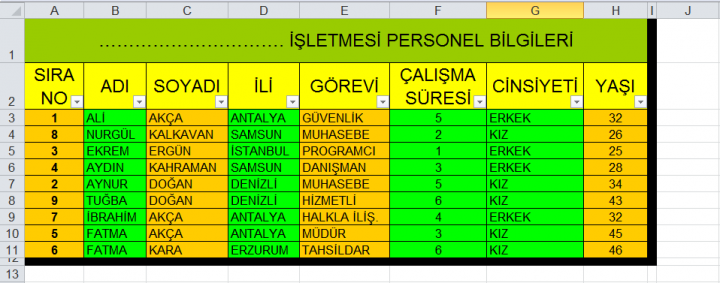 Excel ile Tablo Filitreleme