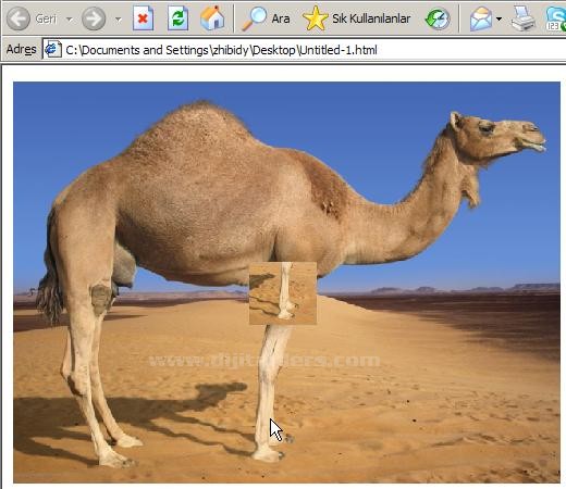 Dreamwever Yazılı sorusu