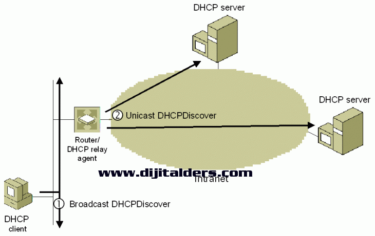 Başlıksız İ&ccedil;erik______________________