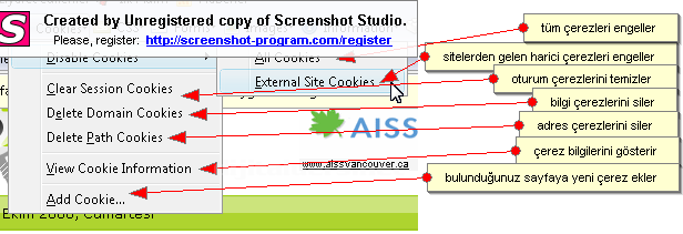 Measureıt, Webdeveloper Anlatım