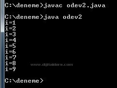Do While, While, For D&ouml;ng&uuml;leri, For-break;