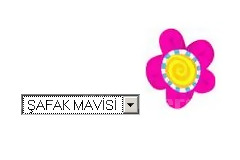 Resim Değiştirme Uygulamaları / Event